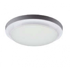 Led Celing light